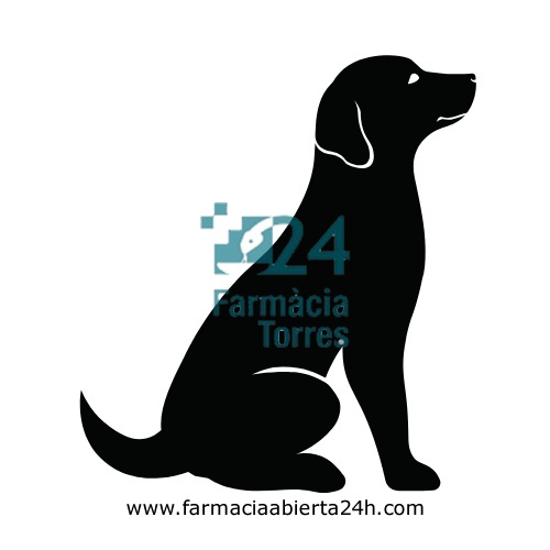 TABERDOG SPRAY TETRAMETRINA - BUTOXIDO DE PIPERONILO
