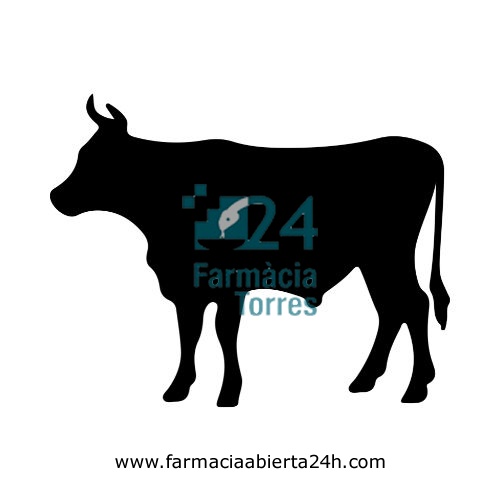 KENOCIDIN 5 mg/g SOLUCION PARA BAÑO DE PEZONES PARA BOVINO (VACAS LECHERAS)