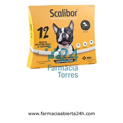 SCALIBOR COLLAR